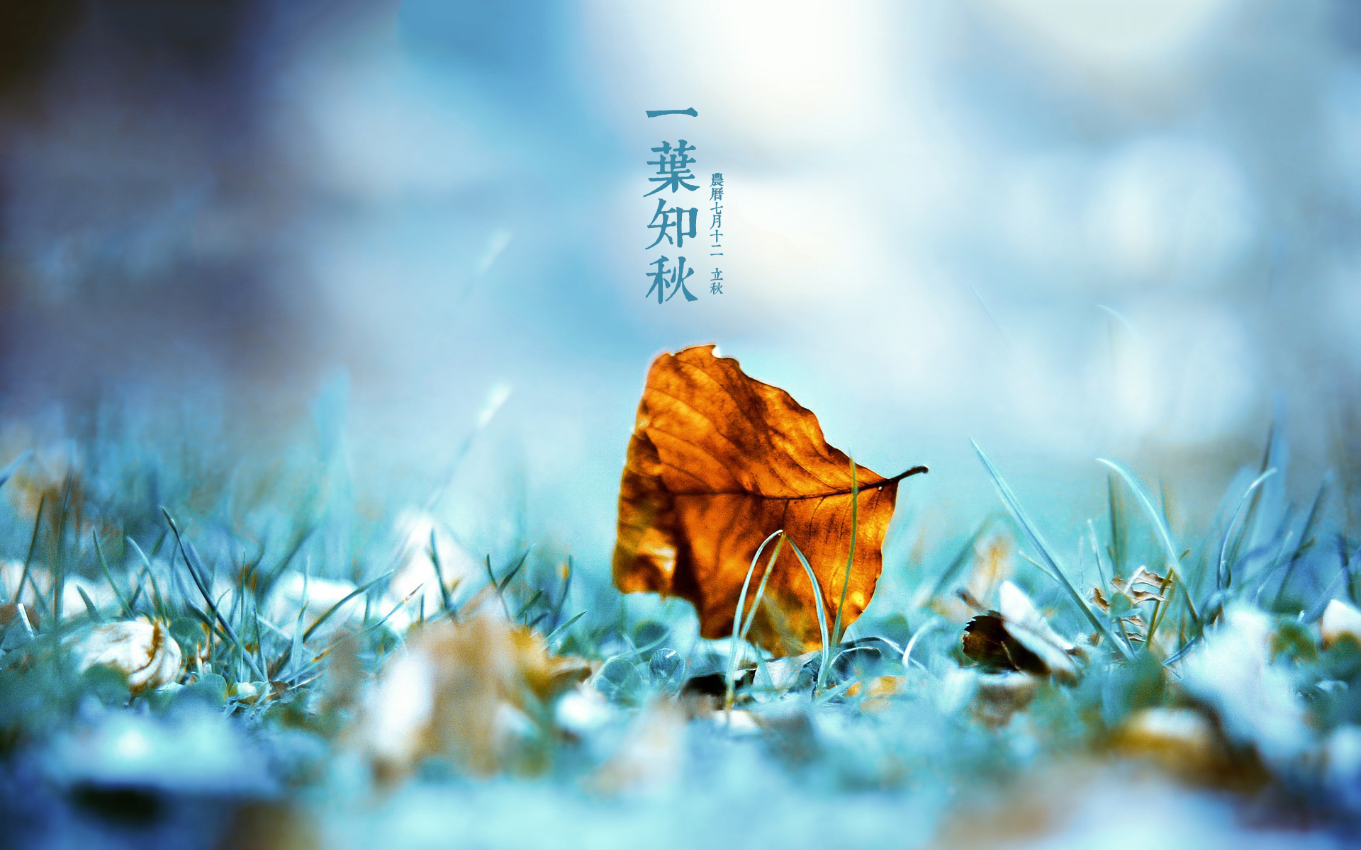 [百度]二十四节区 — 一叶知秋[1920x1200][77p/55m]