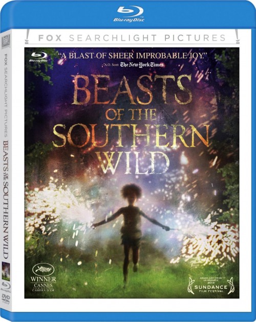 Beasts-of-the-Southern-Wild.jpg