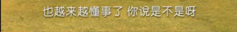 你说是不是呀 x3