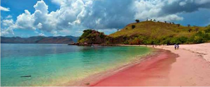 Pantai pink lombok beach 5