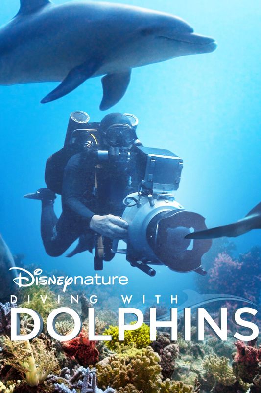 2020 Diving With Dolphins