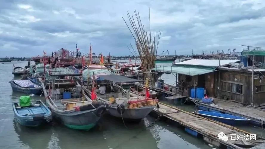广东陆丰：农业农村局联合多部门强制渔民渔船报废 