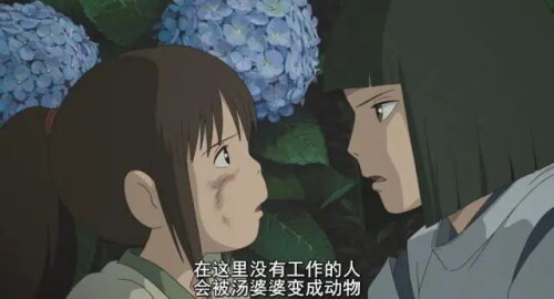 48528d2277ce6102f.md.jpg